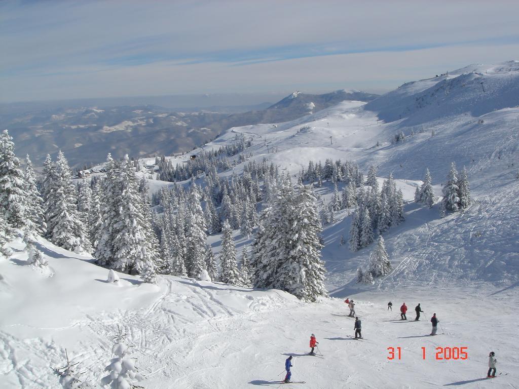 Bed And Breakfast Vila Lala Jahorina Dış mekan fotoğraf